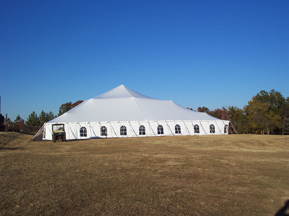 100x100 pole type party tent